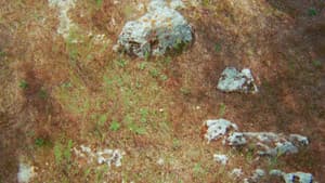 Li paradisi — foto 2