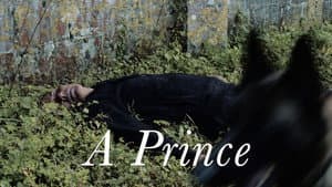 Un prince — foto 3