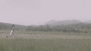 Kite — foto 2