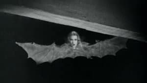 El mundo de los vampiros — foto 3