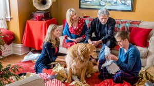 The Christmas Cure — foto 10