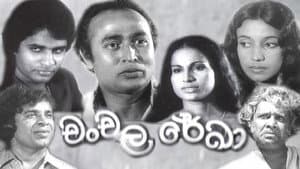 චංචල රේඛා — foto 1
