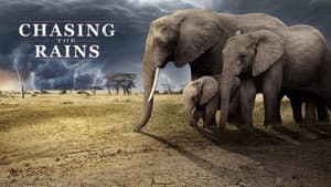 Chasing the Rains — foto 11