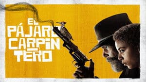 El pájaro carpintero — foto 4