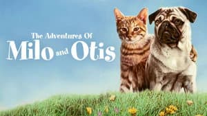 Las aventuras de Milo y Otis — foto 3