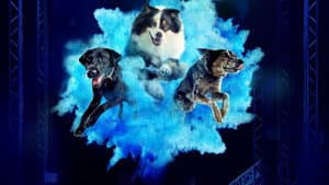 America's Top Dog — foto 3