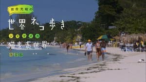 Episodio 70