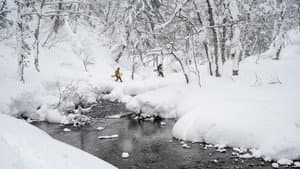 The Meaningless Pursuit of Snow — foto 1