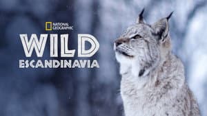 Wild Escandinavia — foto 3