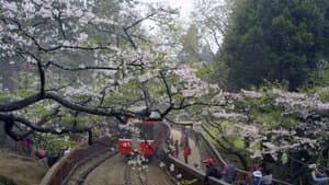 美力台灣3D — foto 5
