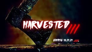 Harvested 3 — foto 5