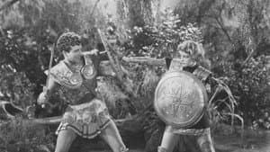 The Warrior's Husband — foto 4