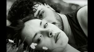 Almas en Fuga — foto 1