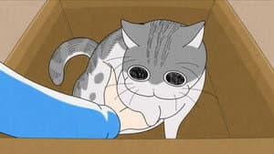 Episodio 18