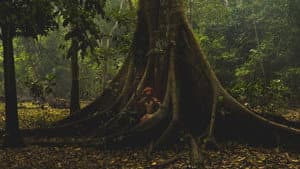 El mitayero — foto 1