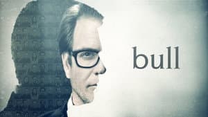Bull — foto 9