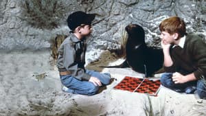Sammy, the Way-Out Seal — foto 2