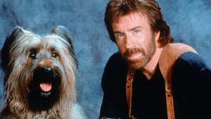 Top Dog — foto 5