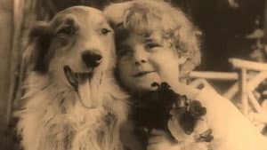 A Dog's Love — foto 1