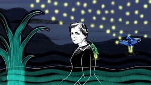 Rachel Carson, la mère de l'écologie — foto 1