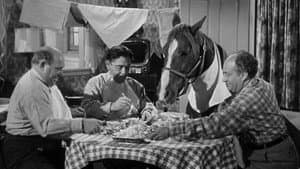 Horsing Around — foto 1