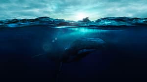 Fathom: Descifrando las profundidades — foto 1