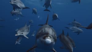 A Deeper Dive with David Attenborough — foto 3