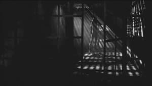 Zoetrope — foto 1