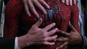 El hombre araña 2 — foto 5