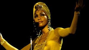 Whitney Houston Live in Johannesburg 1994 — foto 1