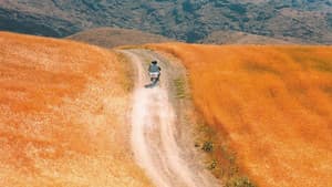 باد ما را خواهد برد — foto 3