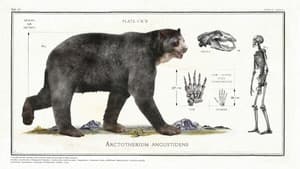 Big Beasts: Last of the Giants — foto 4