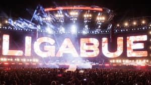 Ligabue Campovolo - Il film — foto 1