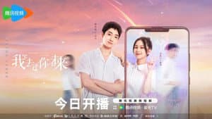 我去过你的未来 — foto 1