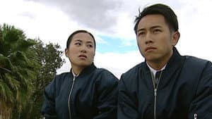 Episodio 13