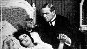Doctor Neighbor — foto 1