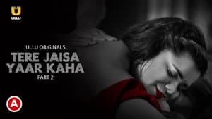 Tere Jaisa Yaar Kaha — foto 2