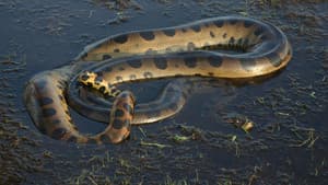 Anaconda: Queen of the Serpents — foto 1