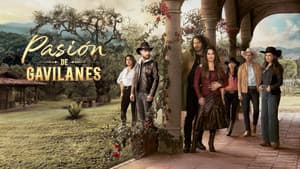 Pasión de gavilanes — foto 4