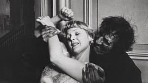 The Cat and the Canary — foto 3
