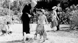 Umberto D. — foto 3