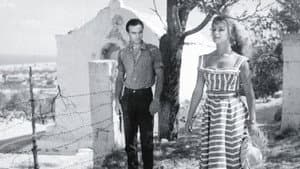 Διακοπές στην Αίγινα — foto 6