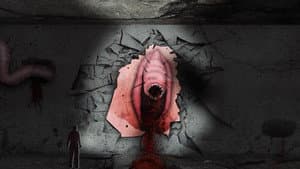 Wormhole — foto 1