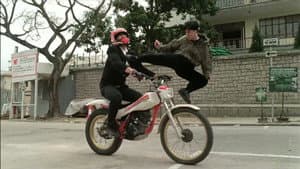 皇家師姐IV直擊證人 — foto 4