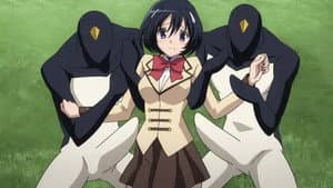 Episodio 8