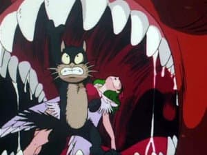 Episodio 41