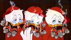 Donald's Happy Birthday — foto 1