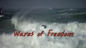 Waves of Freedom — foto 1