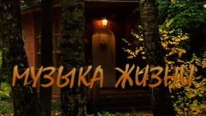 Музыка жизни — foto 1