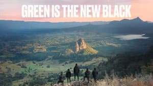 Green Is The New Black — foto 1
